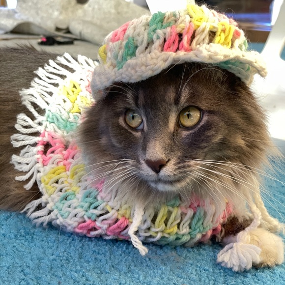 Modern unlisted item - Picture 3 of 3